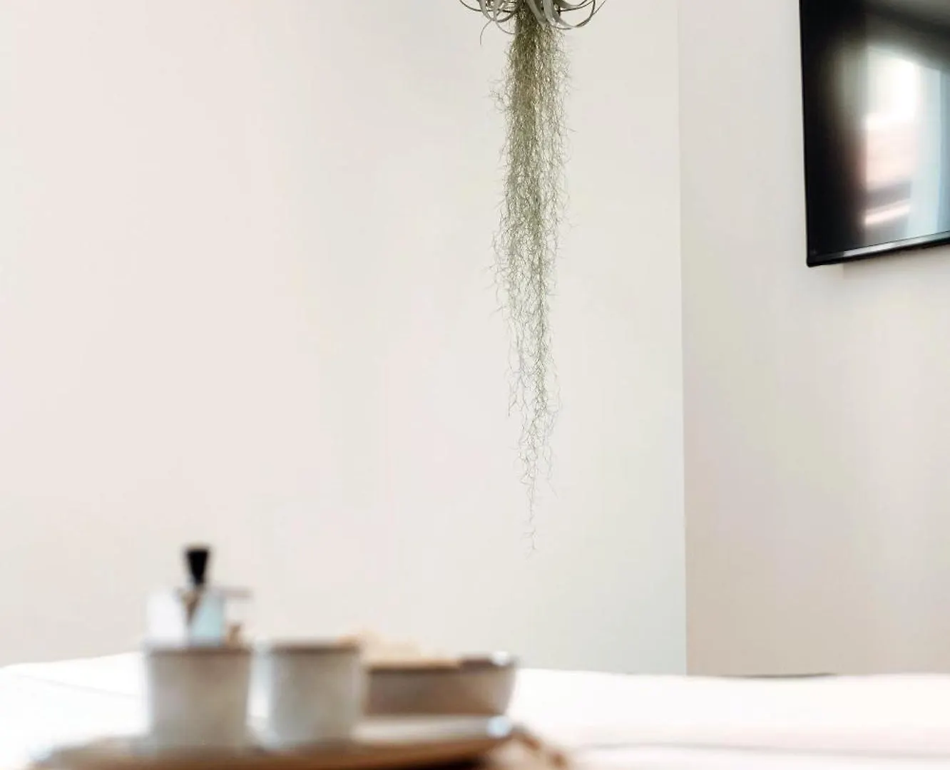 Floristeria Apartment By Quokka 360 - A Stone'S Throw From The Walled City Of Комо 0*,