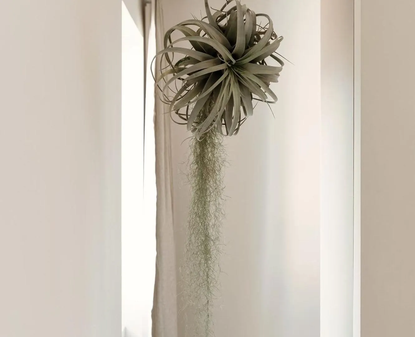 Floristeria Apartment By Quokka 360 - A Stone'S Throw From The Walled City Of קומו 0*,  איטליה